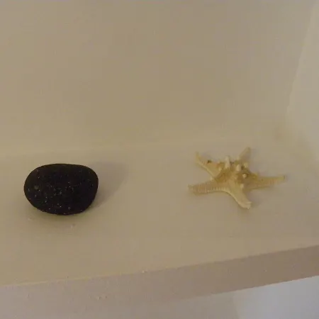 Caballito De Mar * L'Estartit