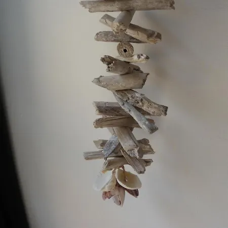Apartamento Caballito De Mar